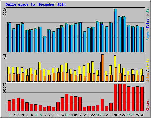 Daily usage for December 2024