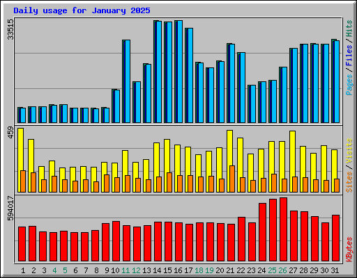 Daily usage for January 2025