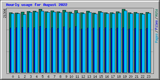 Hourly usage for August 2022