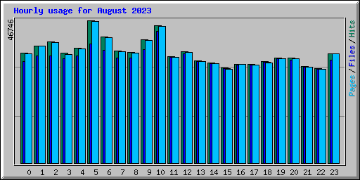 Hourly usage for August 2023