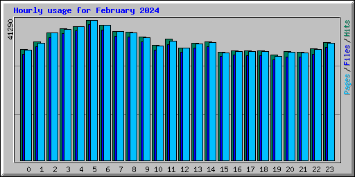 Hourly usage for February 2024