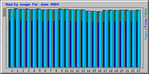 Hourly usage for June 2024