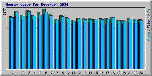 Hourly usage for December 2024