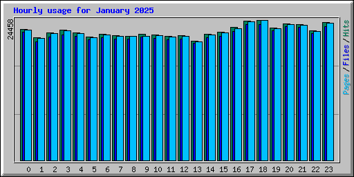 Hourly usage for January 2025