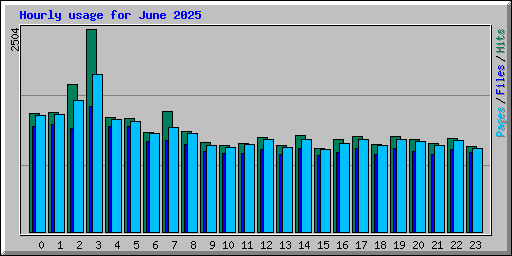 Hourly usage for June 2025