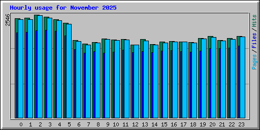 Hourly usage for November 2025