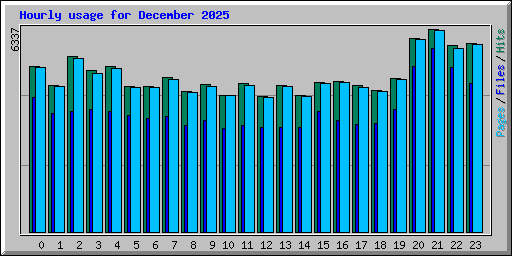 Hourly usage for December 2025