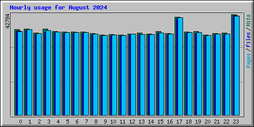 Hourly usage for August 2024