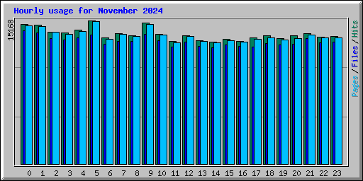 Hourly usage for November 2024