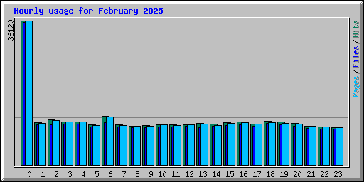 Hourly usage for February 2025