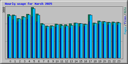 Hourly usage for March 2025