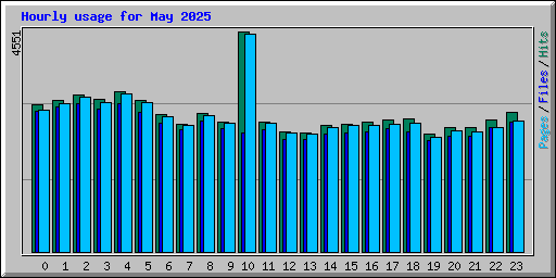 Hourly usage for May 2025