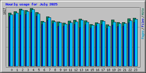 Hourly usage for July 2025