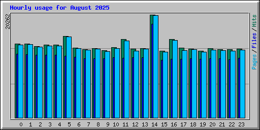 Hourly usage for August 2025