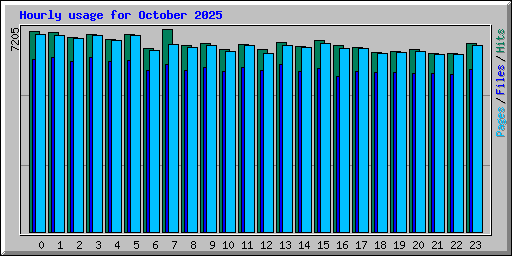 Hourly usage for October 2025