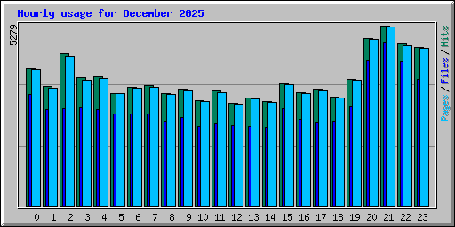 Hourly usage for December 2025