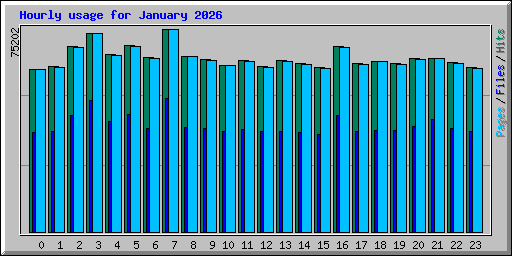 Hourly usage for January 2026