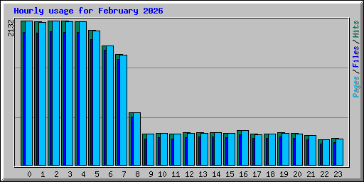 Hourly usage for February 2026